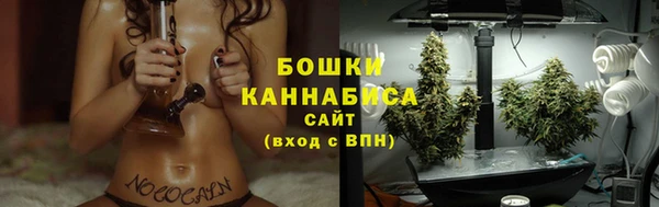 хмурый Нягань