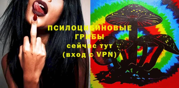хмурый Нягань