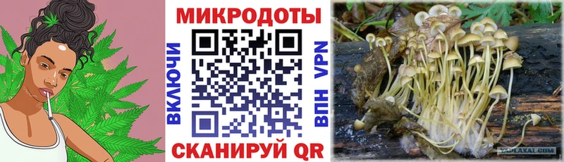 Купить где  Кондопога  Псилоцибиновые грибы MAGIC MUSHROOMS 